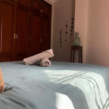 بيت شباب Duque Nest أذيخي