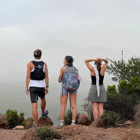 Duque Nest * 阿德耶